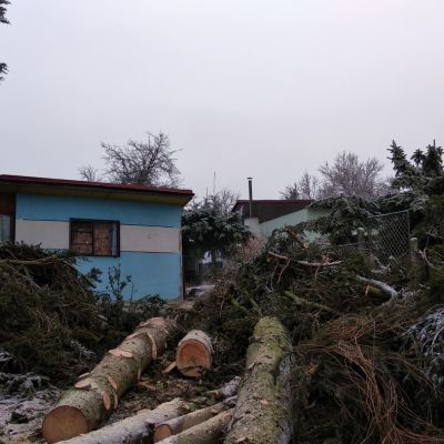 Fotogalerie rizikového kácení stromů