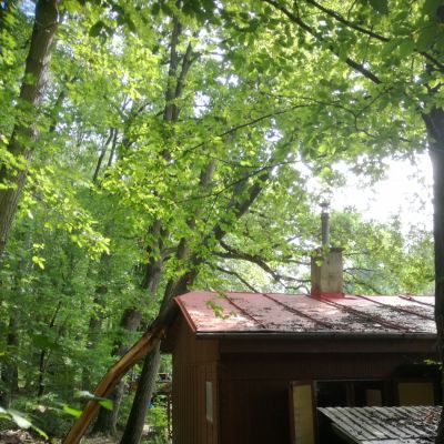 Fotogalerie rizikového kácení stromů