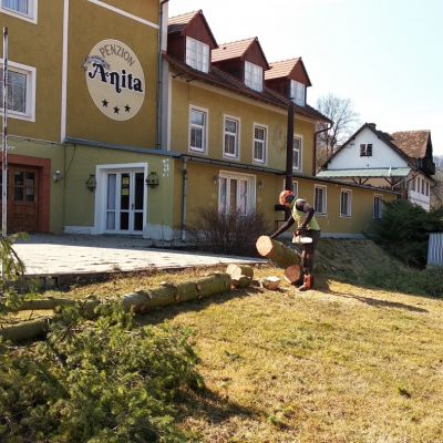 Fotogalerie rizikového kácení stromů