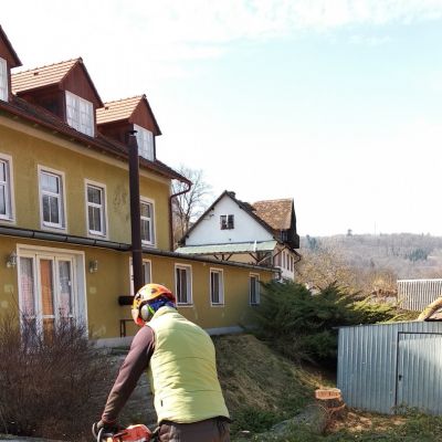 Fotogalerie rizikového kácení stromů